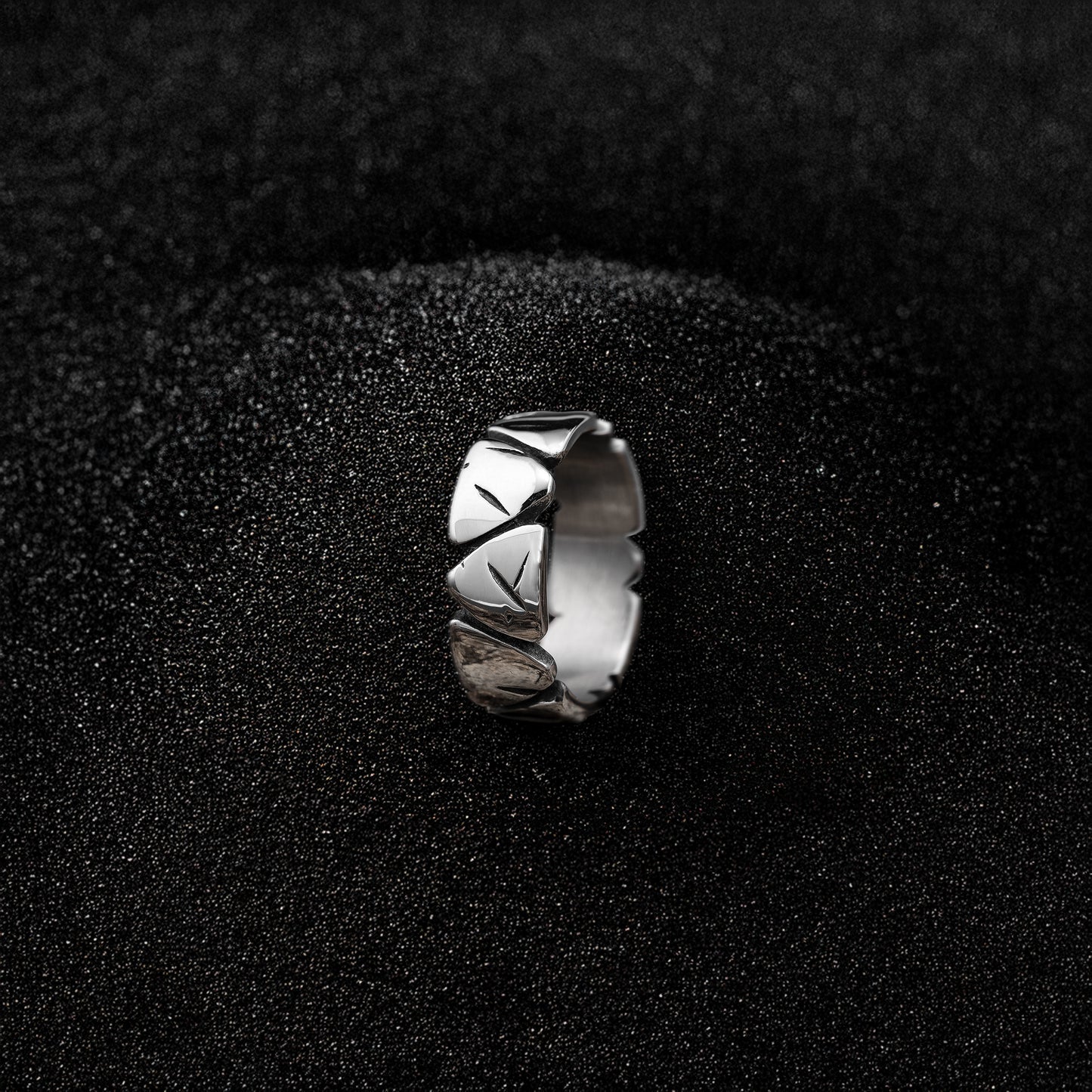Aegis Men Ring